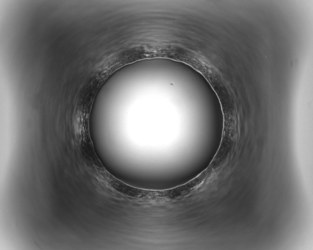 X0000085730770200703161005