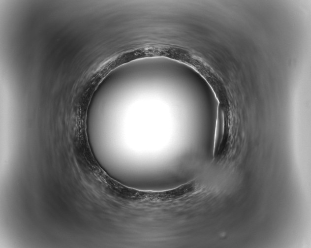 X0000085730773200703161005