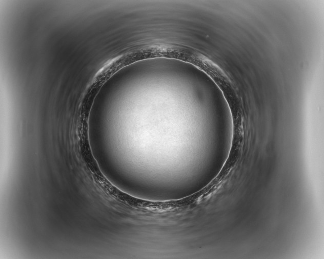 X0000085730776200703161005