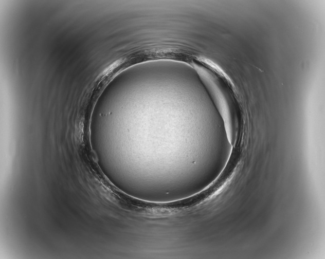 X0000085730777200703161005