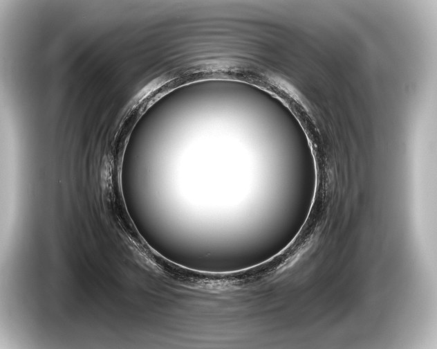 X0000085730778200703161005