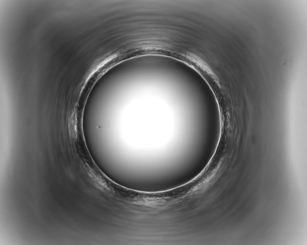 X0000085730782200703161005