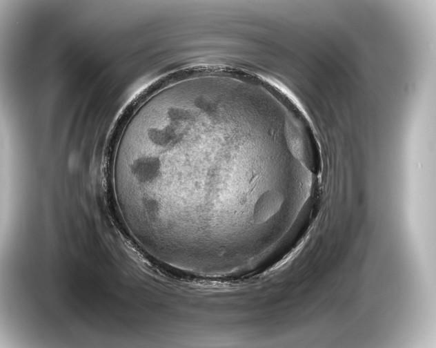 X0000085730783200703161005