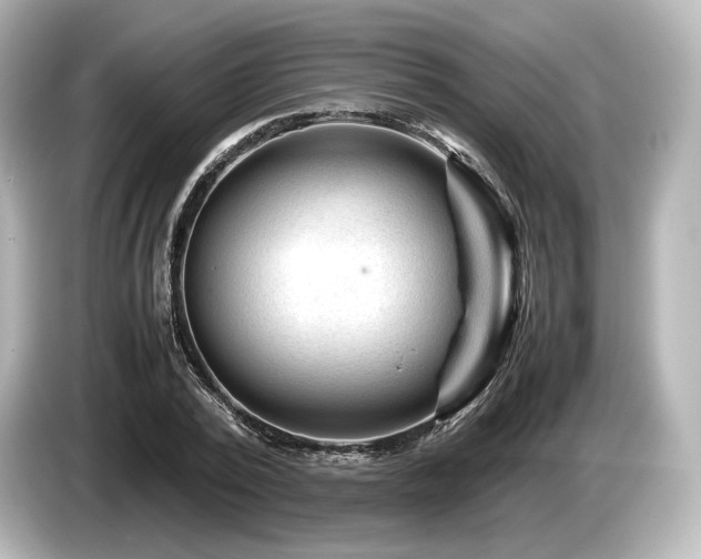 X0000085730784200703161005