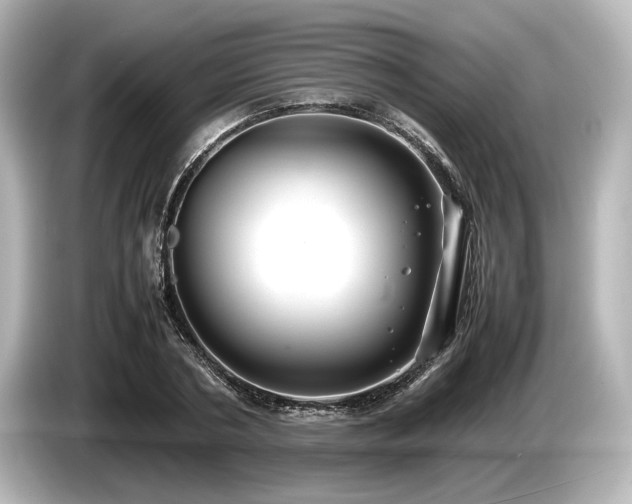 X0000085730786200703161005