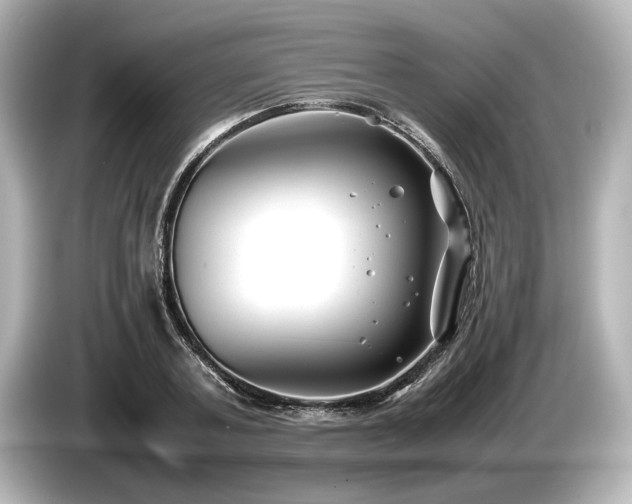 X0000085730787200703161005