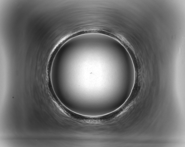 X0000085730789200703161005