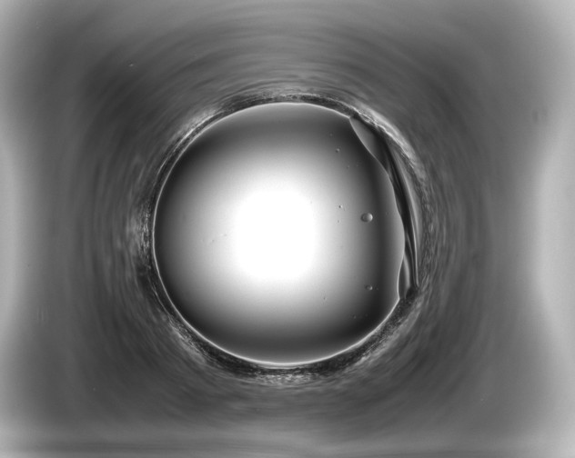 X0000085730793200703161004