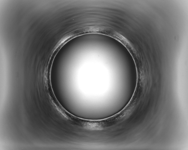 X0000085730794200703161004