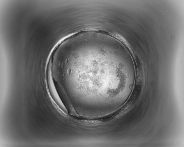 X0000085730795200703161004