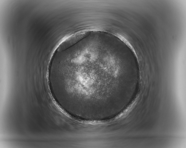 X0000085730797200703161004