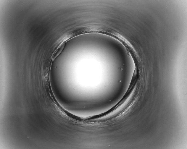 X0000085730801200703161004