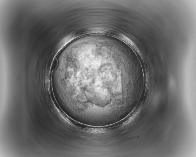 X0000085730802200703161004