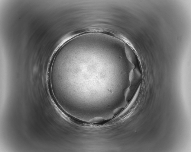 X0000085730803200703161004