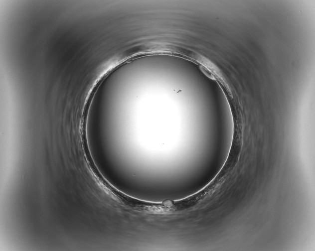 X0000085730805200703161004