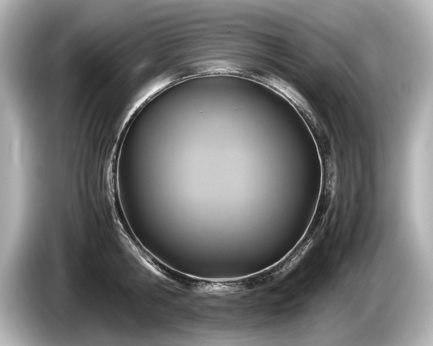 X0000085730806200703161004