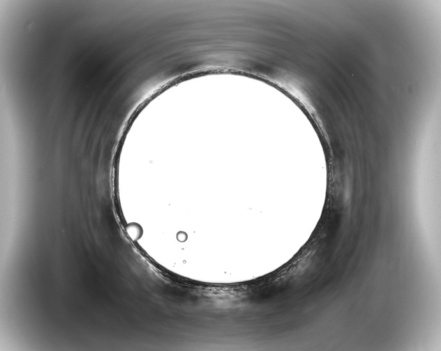 X0000085730807200703161004