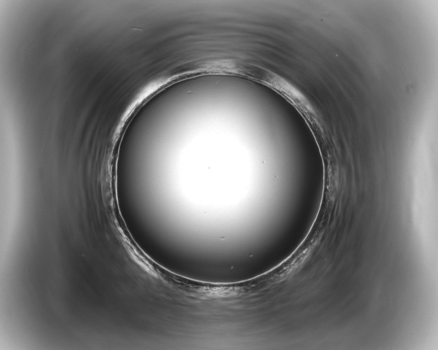 X0000085730808200703161004