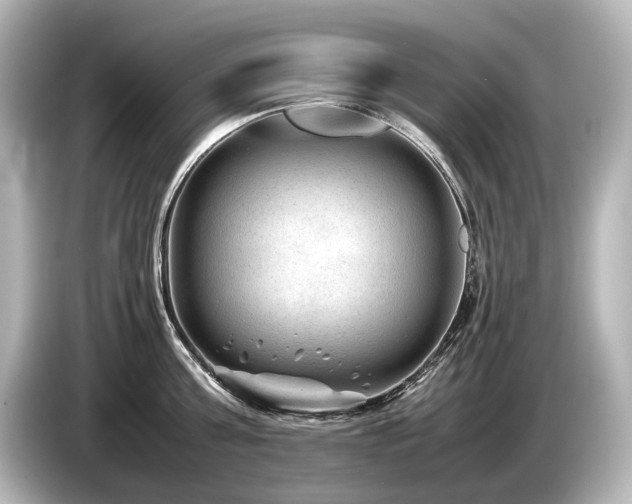 X0000085730811200703161004