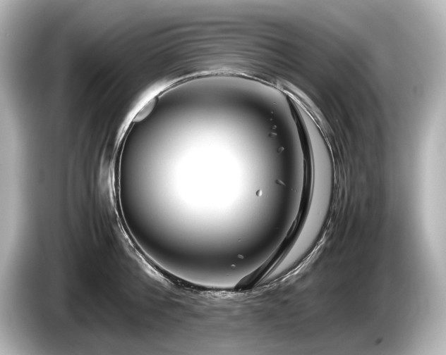 X0000085730812200703161004