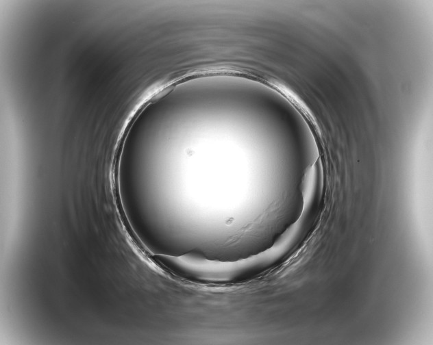 X0000085730813200703161004