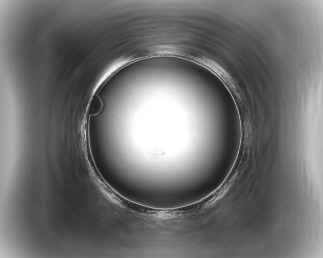 X0000085730814200703161004