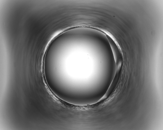 X0000085730815200703161004