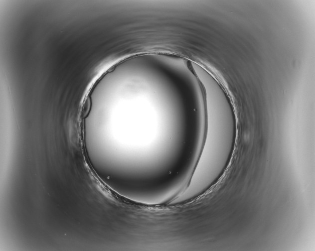 X0000085730816200703161004