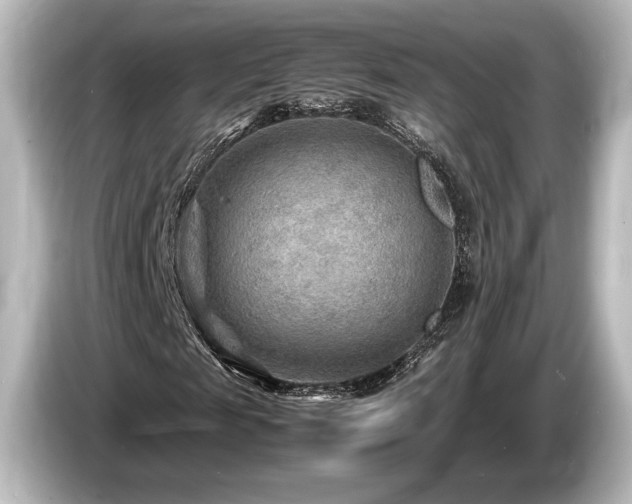 X0000085730817200703161003