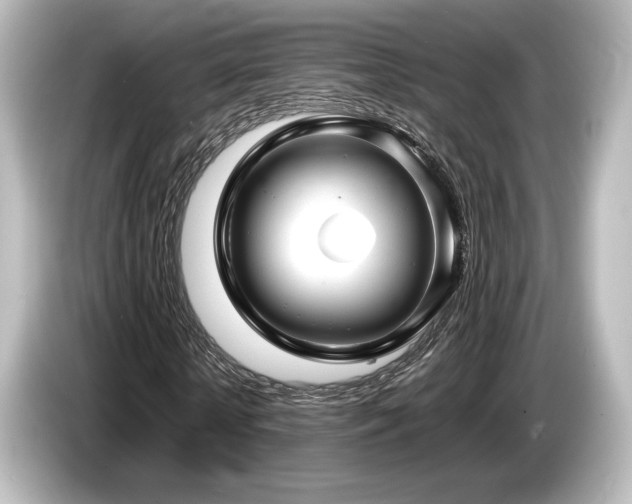 X0000085730818200703161004