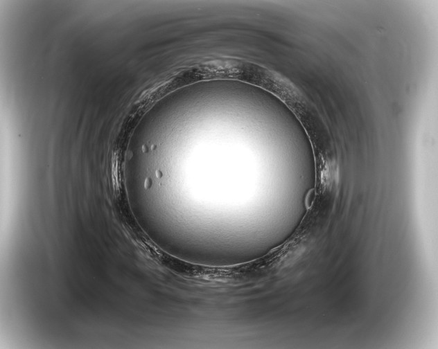 X0000085730819200703161004