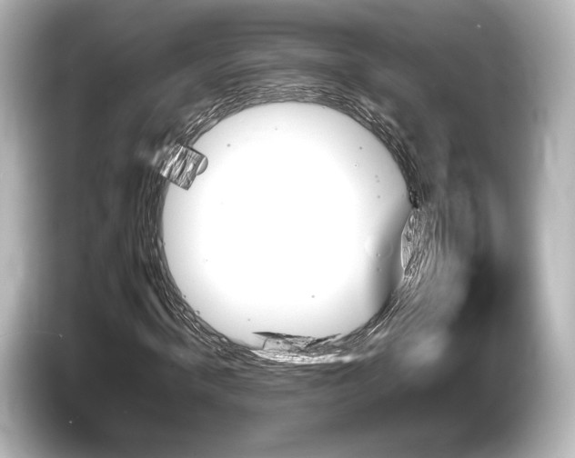 X0000085730820200703161004