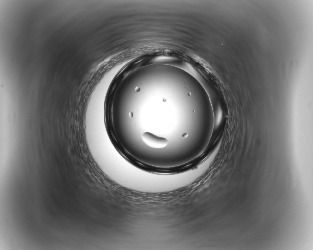 X0000085730822200703161004