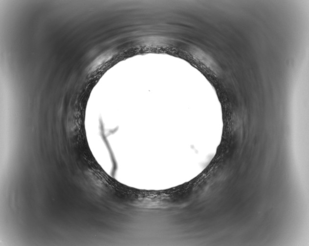 X0000085730824200703161004