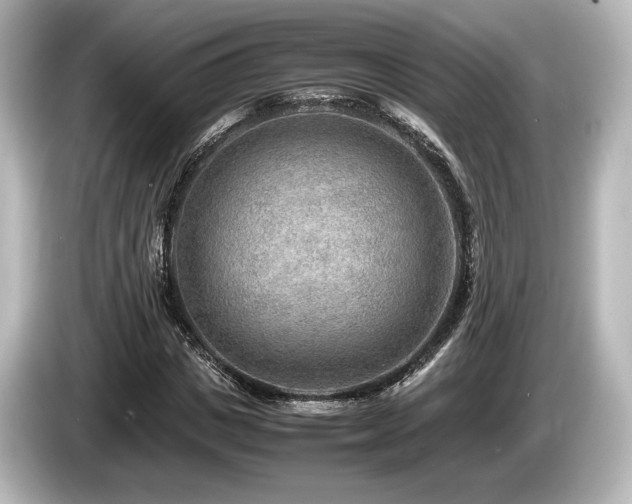 X0000085730825200703161004