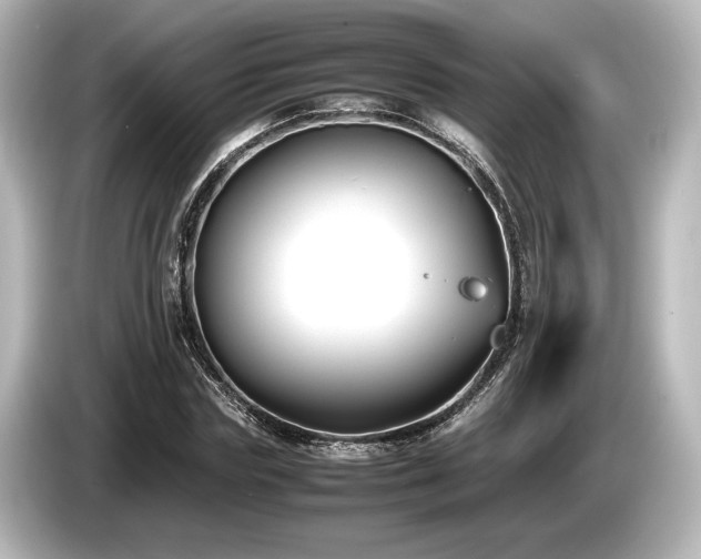 X0000085730827200703161004