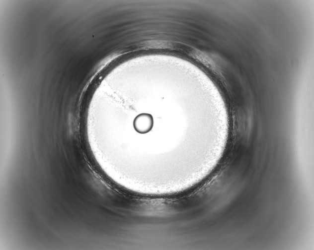 X0000085730828200703161004