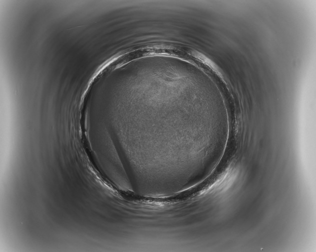 X0000085730829200703161004