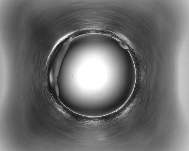 X0000085730830200703161004