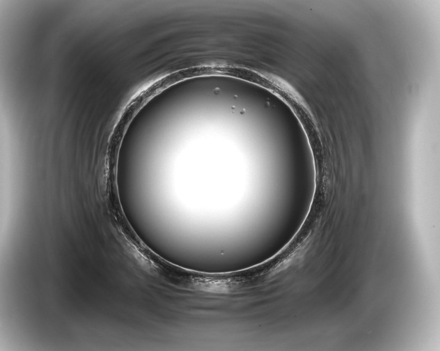 X0000085730831200703161004