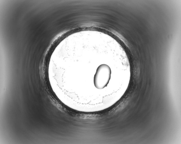 X0000085730832200703161004