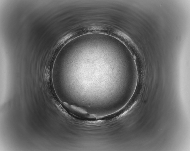 X0000085730833200703161004