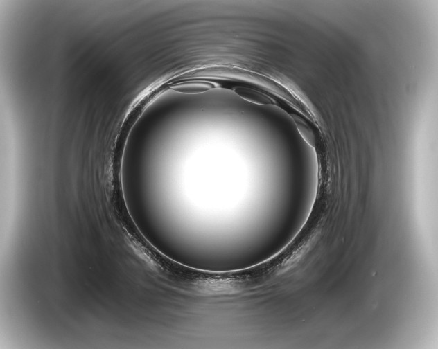 X0000085730834200703161004