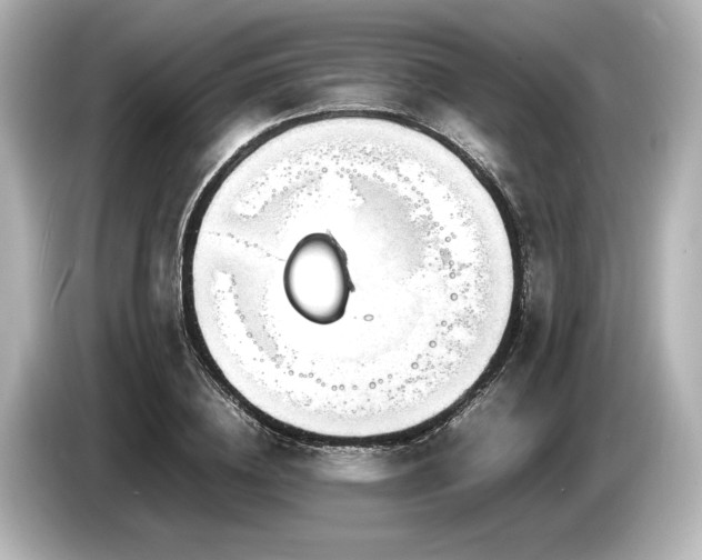 X0000085730836200703161004