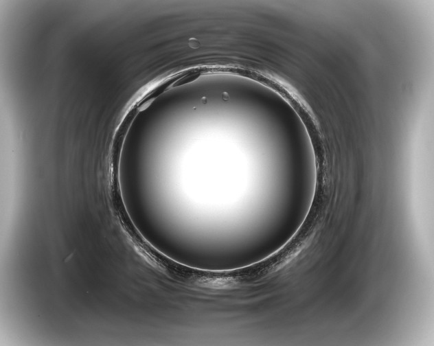 X0000085730837200703161004