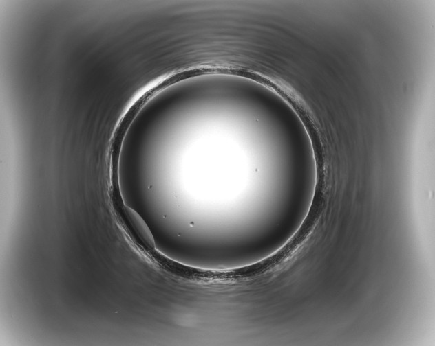 X0000085730838200703161004