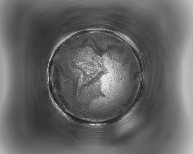 X0000085730839200703161004