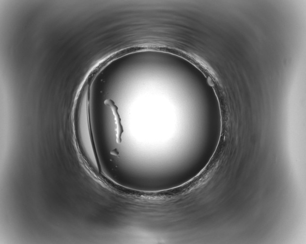 X0000085730840200703161004