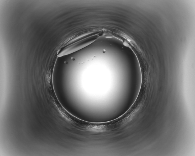 X0000085730841200703161004