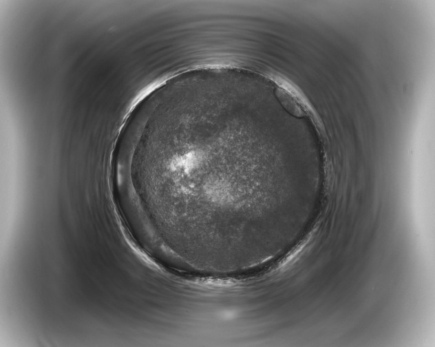 X0000085730842200703161004